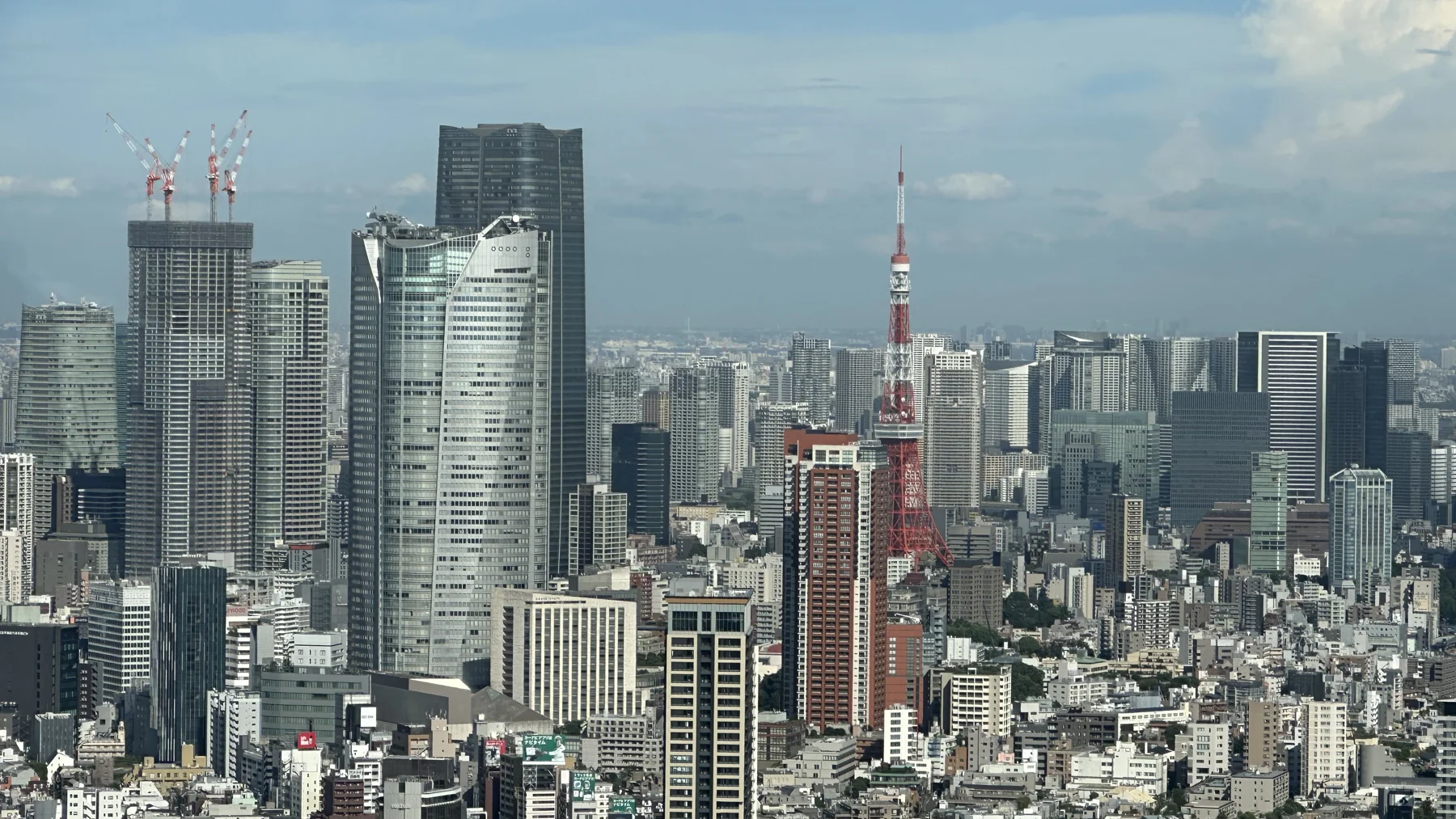 从高处望向城市楼宇与远处的红白色高塔